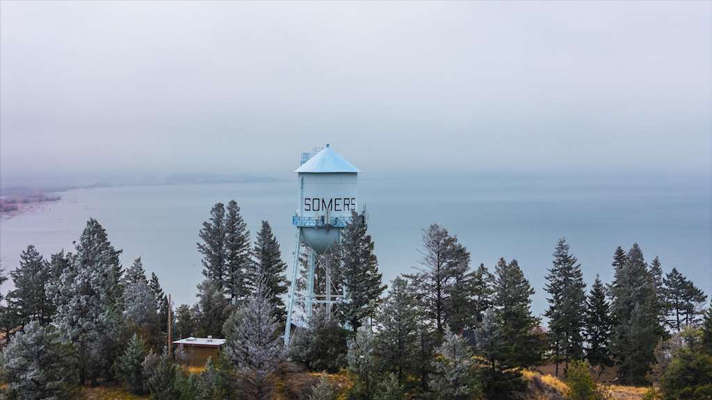 The Evergreen — water tower labeled somers standing above pine trees with a lake and overcast sky behind