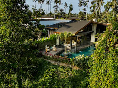 Primary image