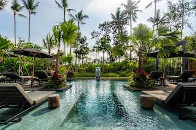 Primary image