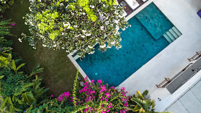 Image 35