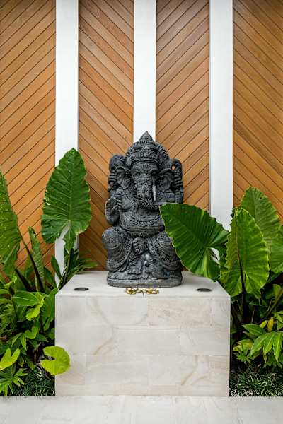 Image 31