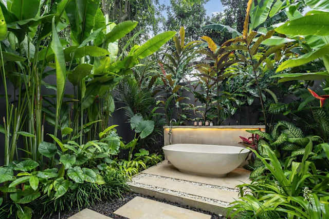 Villa Shiva — photo 3