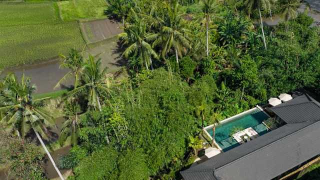 Villa Noam — photo 8