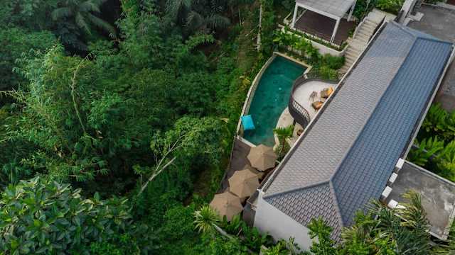 Image 16