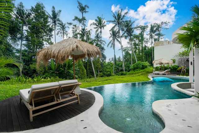 Villa Jungle Sawah — photo 6
