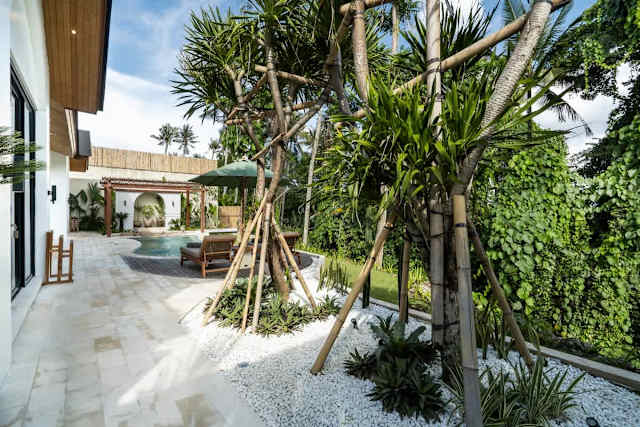 Villa Mango — photo 8