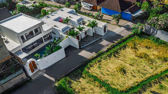 Villa The Palmier — photo 9