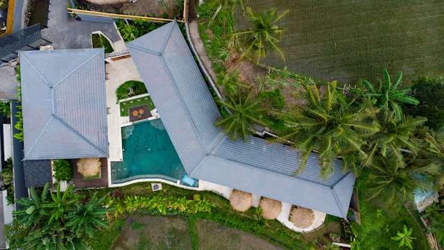 Villa Mimosa — photo 8