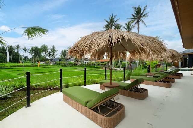 Villa Mimosa — photo 4