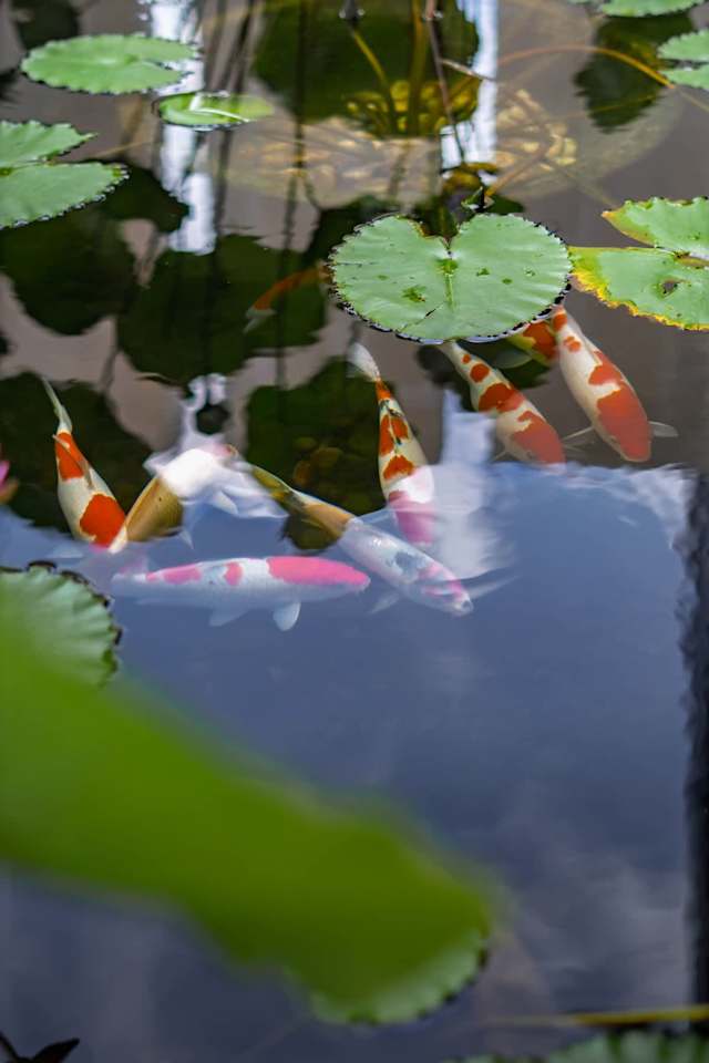Image 14
