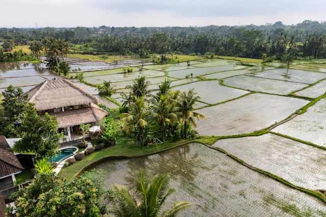 Villa Fafa — photo 7