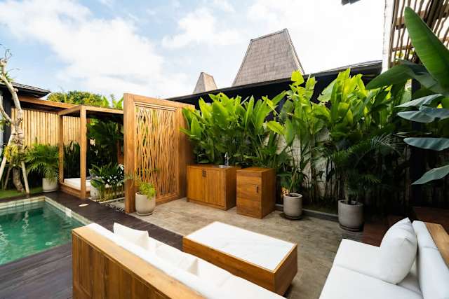 Image 15