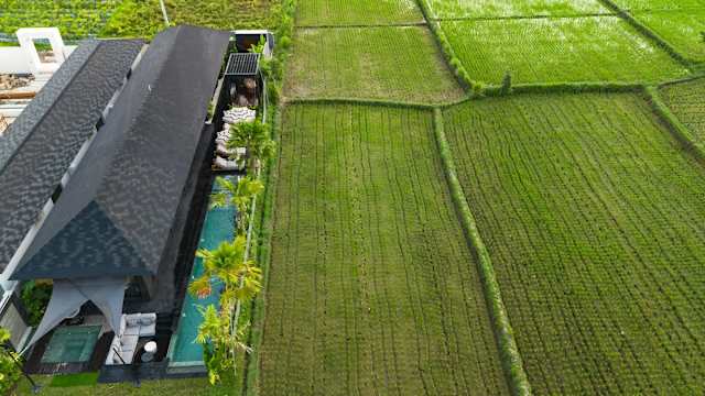 Villa Black Pearl — photo 9