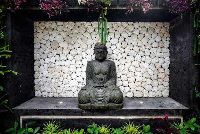 Image 22