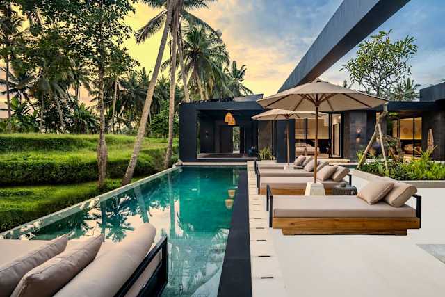 Villa Palm Paradise — photo 2