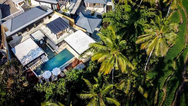Villa Balinese Monkeys — photo 7