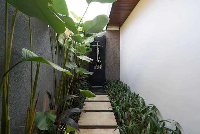Image 29