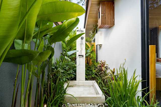 Image 32