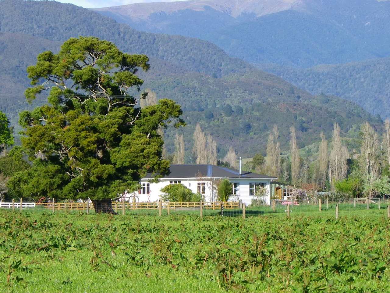 Totara Glen - Bucolic retreat in peaceful countryside in East Tākaka