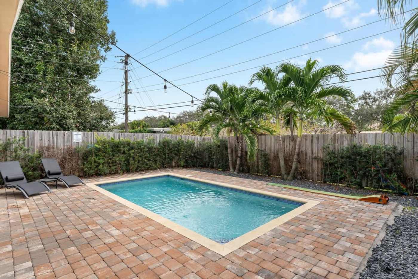 The Arcade House: Pool with loungers, hedging and palms around the deck