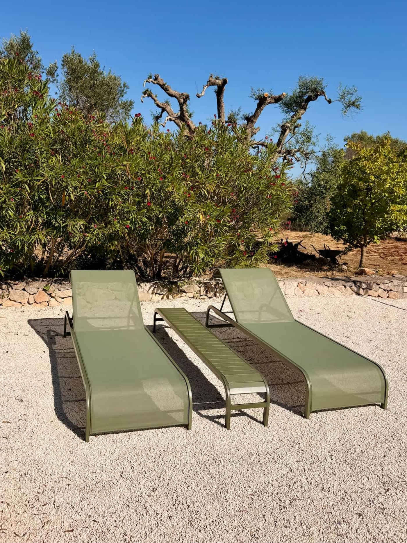 Trullo Ostro: Pair of sun loungers on gravel among olive trees