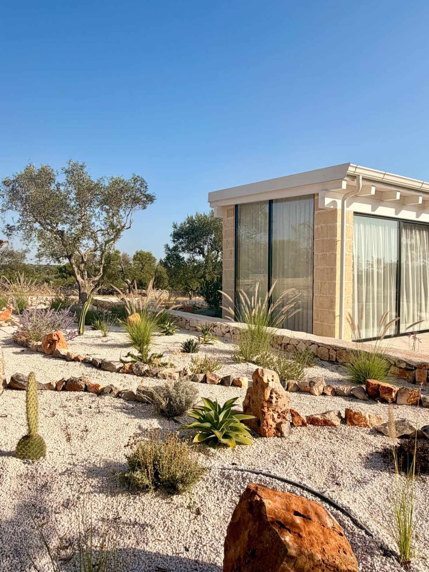 Trullo Ostro: Cactus and succulent garden beside the living wing