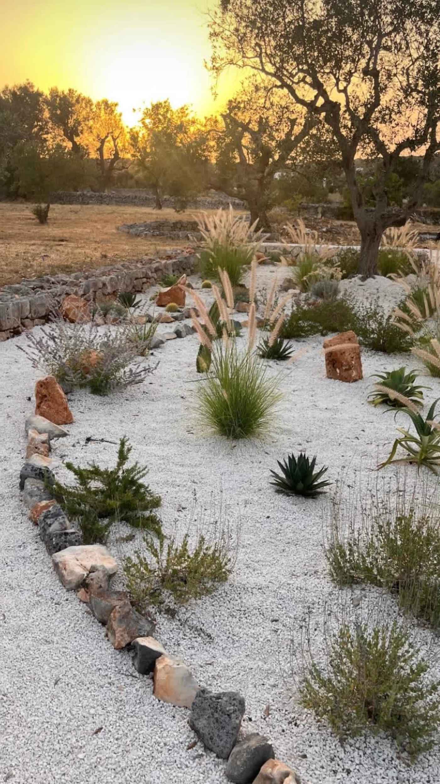 Trullo Ostro: Gravel garden with grasses and succulents at sunset