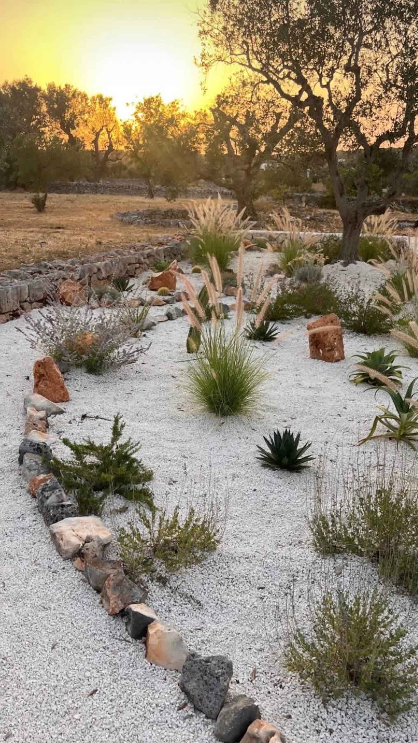 Trullo Ostro: Gravel garden with grasses and succulents at sunset