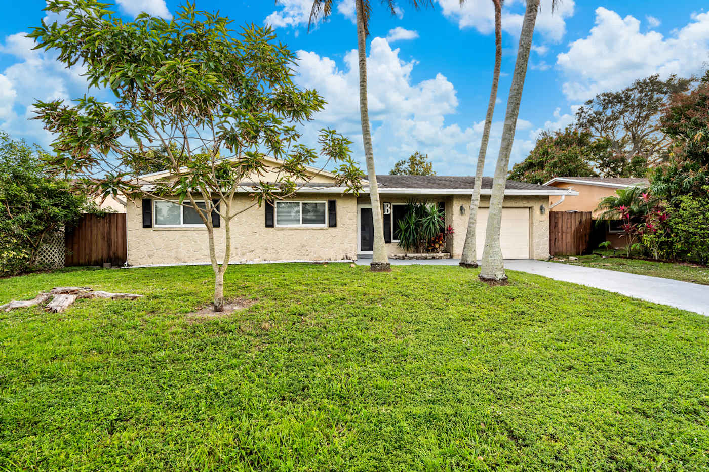 The Game House: The house from the street, framed by palms