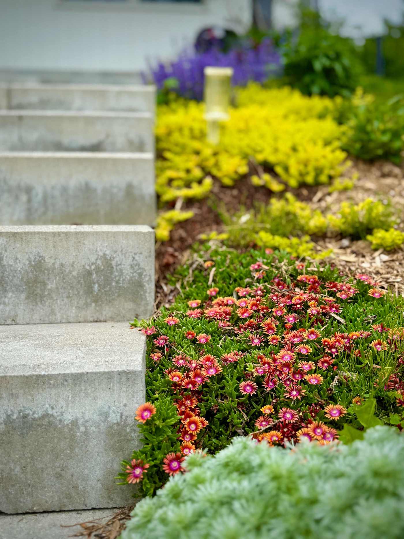 Hudson House: Stone garden steps lined with flowering plants