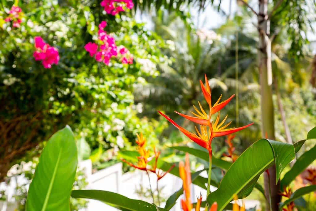 Villa Baan Sam Sao: pool & tropical garden