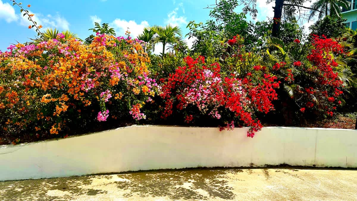 Villa Panorama 4 bedrooms and pool-Sunset sea view