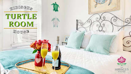 B&B Turtle RM 1-QB