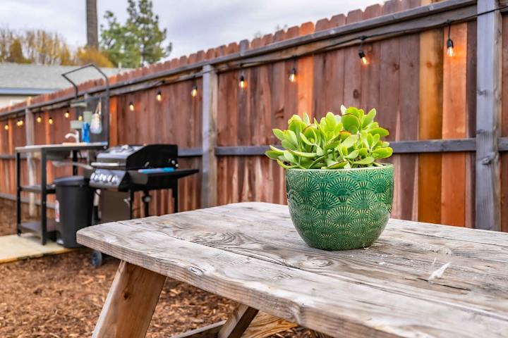 Urban Glamping Oasis: Comfort & Adventure Combined photo 5
