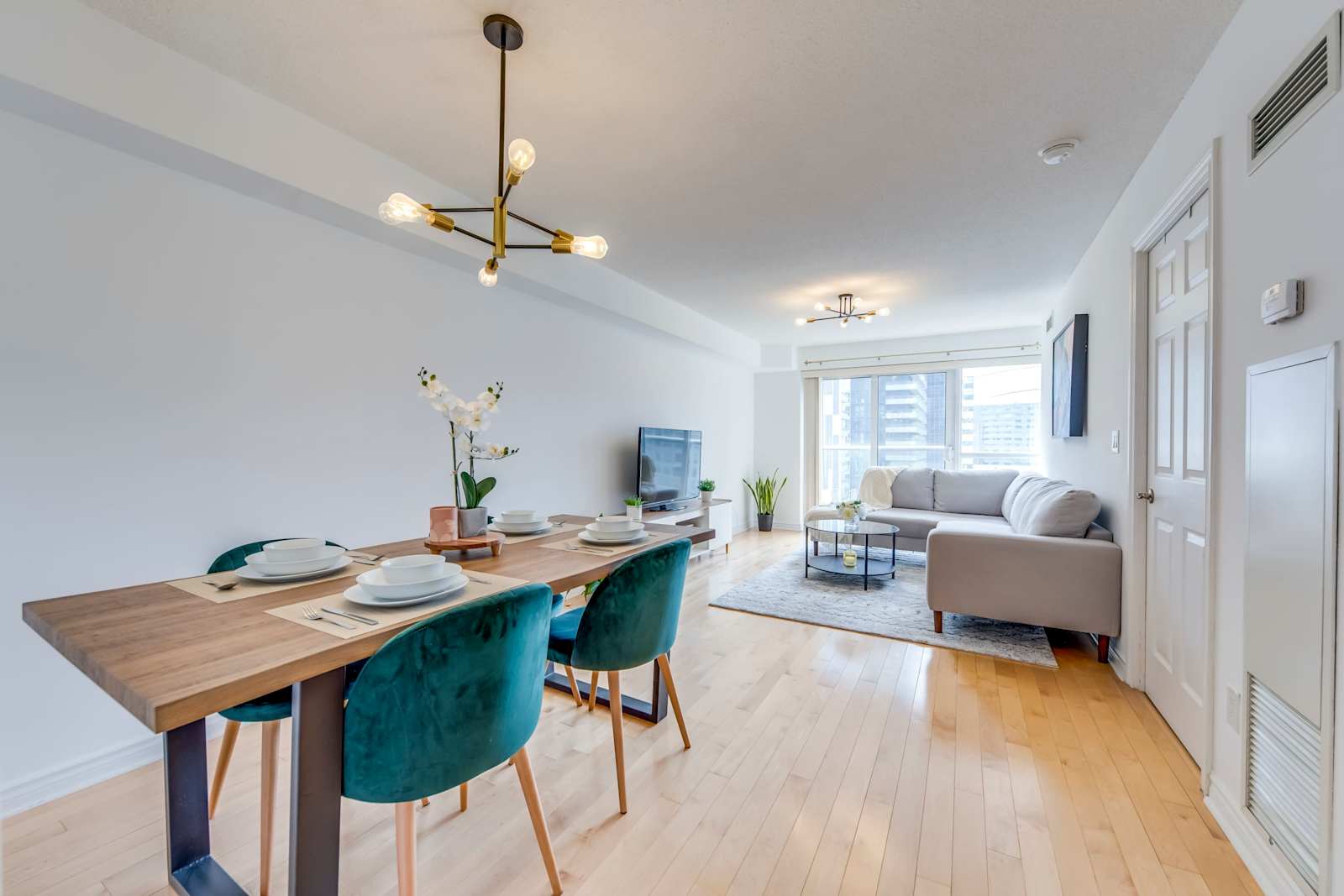 Serene Suite on Wellington