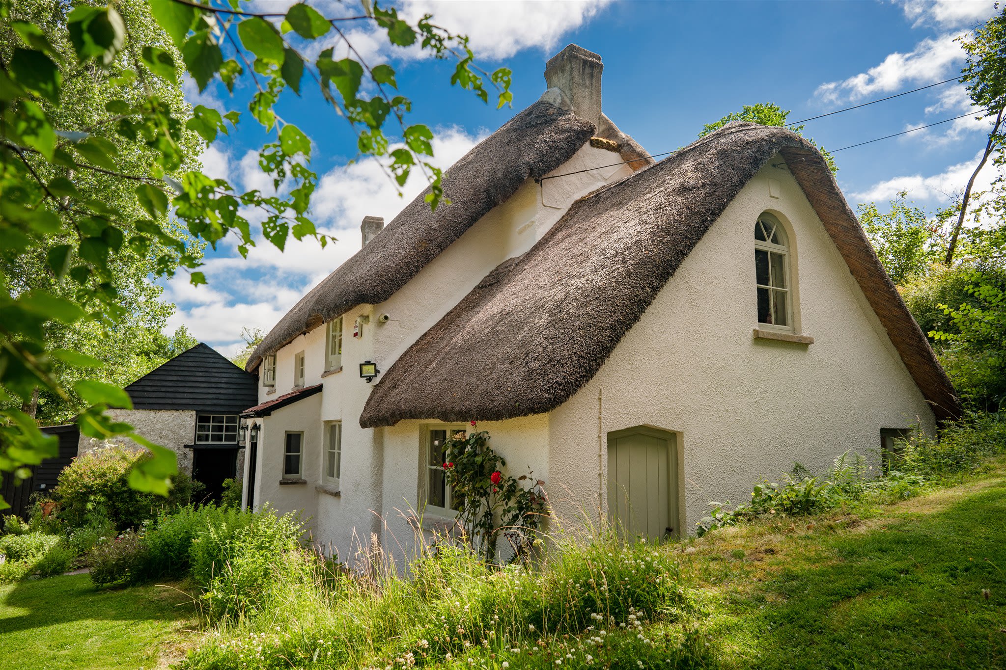 Weeke Brook - The quintessential thatched cottage - Picture 1