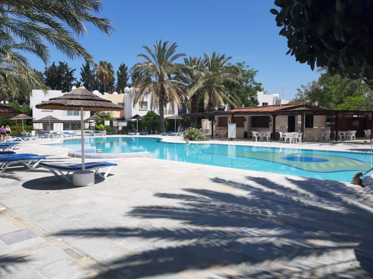 Paphos Gardens: 1BR Apt Near Pool, 5 mins to Beach and shops