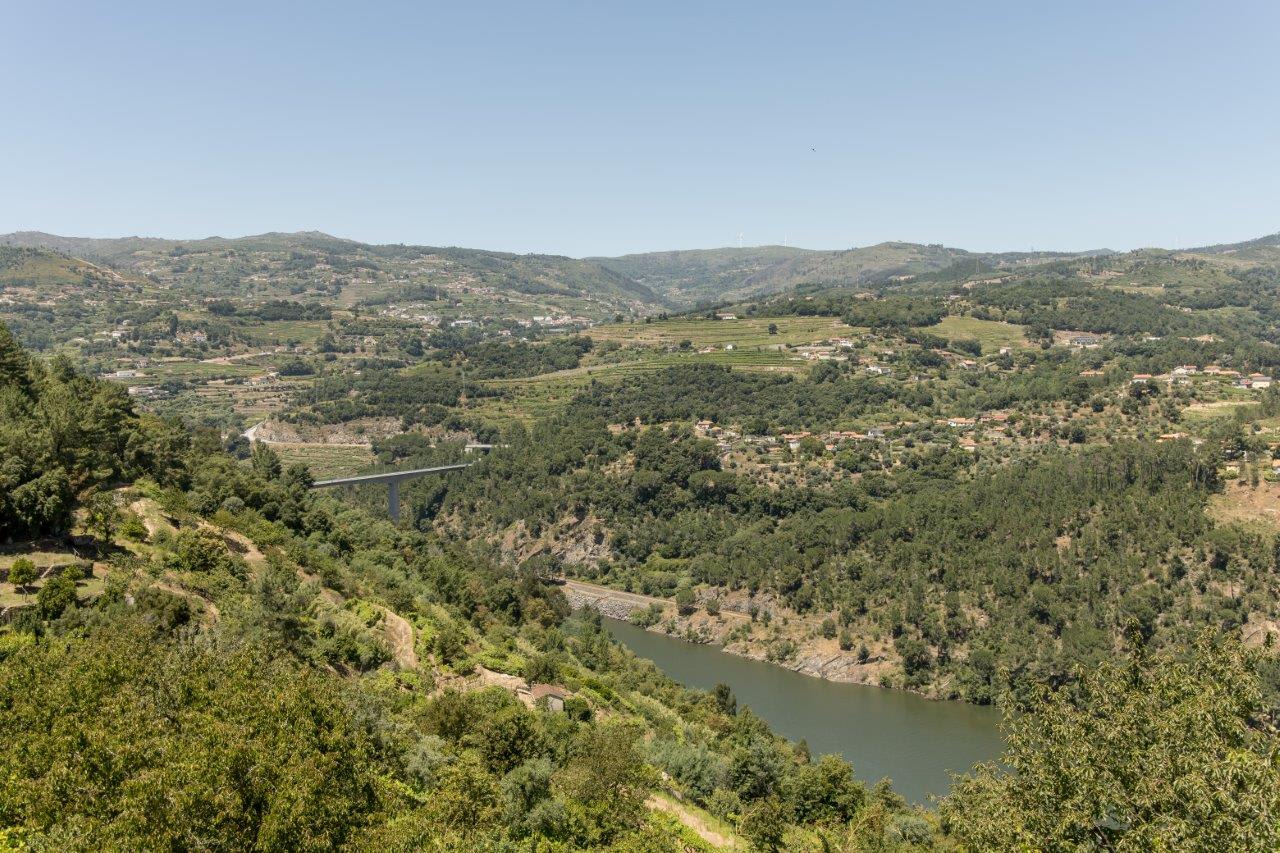 View 6