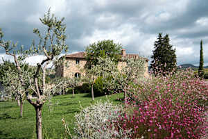 Luxury Tuscany villa