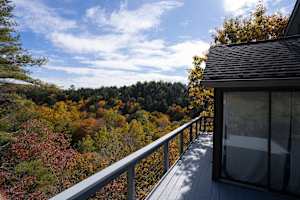 Enjoy beautiful, fall foliage views from all over the property!