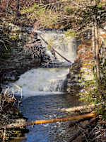 Winona Falls - right behind the house!