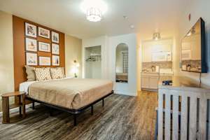 Modern Oasis | Pool & Gym | Medical Pros