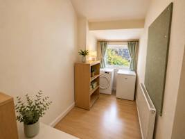 Spacious 4 Bedroom Home in Cambridge photo 4