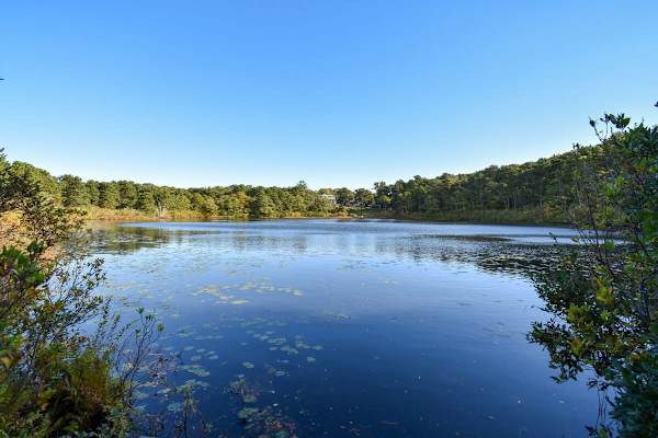 Photo 4 of Del Mar #16616 - Spacious Home with Direct Pond Access!