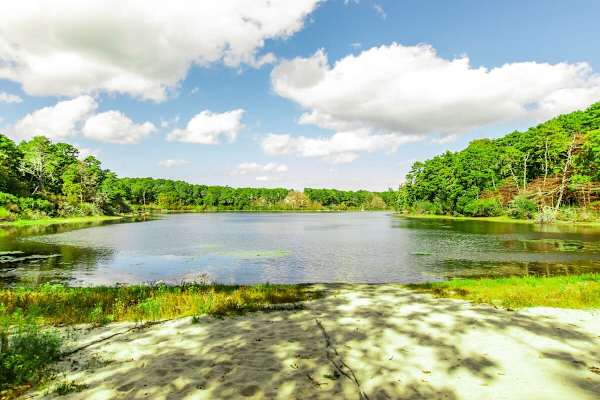 Photo 2 of Del Mar #18827 - Walk to Pond, Amazing Backyard!
