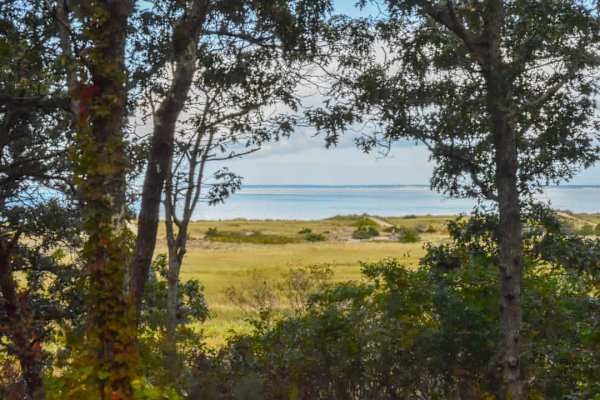 Photo 4 of Del Mar #18840 - Walk to beach, Secluded and private home and backyard!