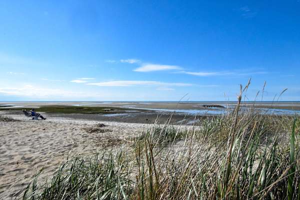 Photo 3 of Del Mar #18807 - Water Views! Walk to Beach Dogs Welcome!