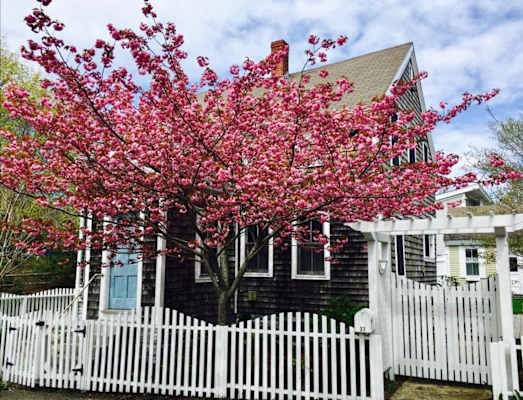 Photo 7 of Del Mar #11143 - 5 Min Walk to Town, Patio, Yard, AC!