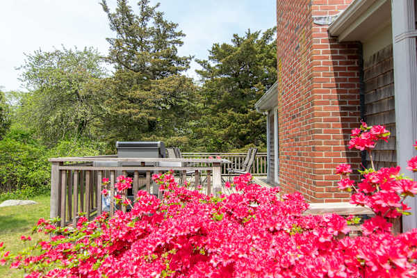 Photo 2 of Del Mar #15534 - The Perfect Beach Getaway!