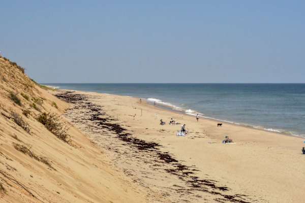 Photo 5 of Del Mar #13301 - Classic Cape Great Location! Dog Welcome!